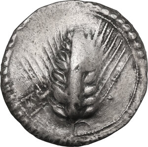 obverse: Southern Lucania, Metapontum. AR Nomos, c. 540-510 BC