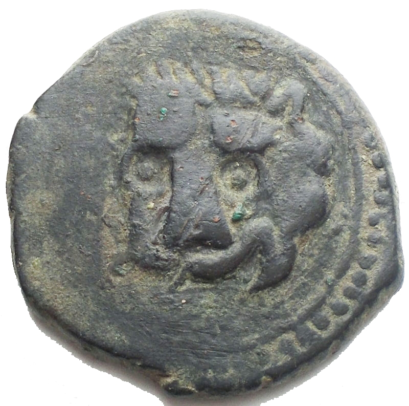 reverse: Messina Guglielmo II (1166-1189) Trifollaro. D/ Testa di leone. R/ Palma. Sp.117. AE. 9,79 gr. BB+