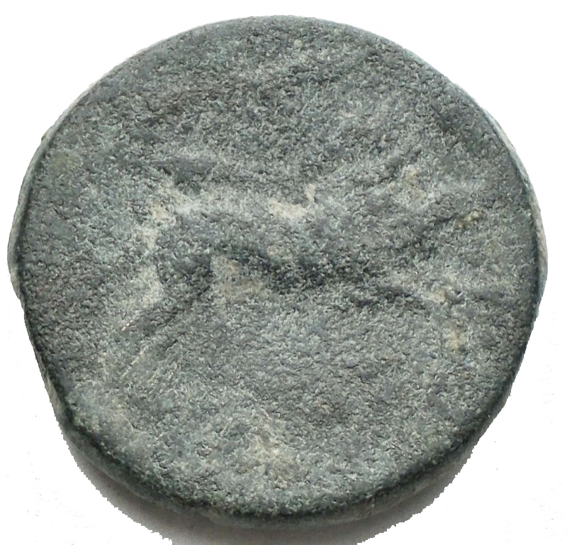 reverse: Mondo Greco - Apulia Arpi (III sec. a.C.) Obolo. D/ Testa di Zeus a sinistra. R/ Cinghiale a destra, sopra punta di freccia Gr 7,4. mm 21,03. AE. BB+