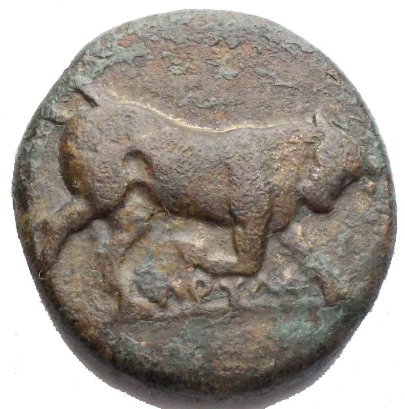 obverse: Apulia, Arpi (Circa 275-250 A.C.) AE 21,3 mm. D/ Toro cozzante a destra; sotto POULLI, magistrato. R/ Cavallo al galoppo a destra. AE. 7,28 gr. SNG ANS 645; HN Italy 645. BB+.  