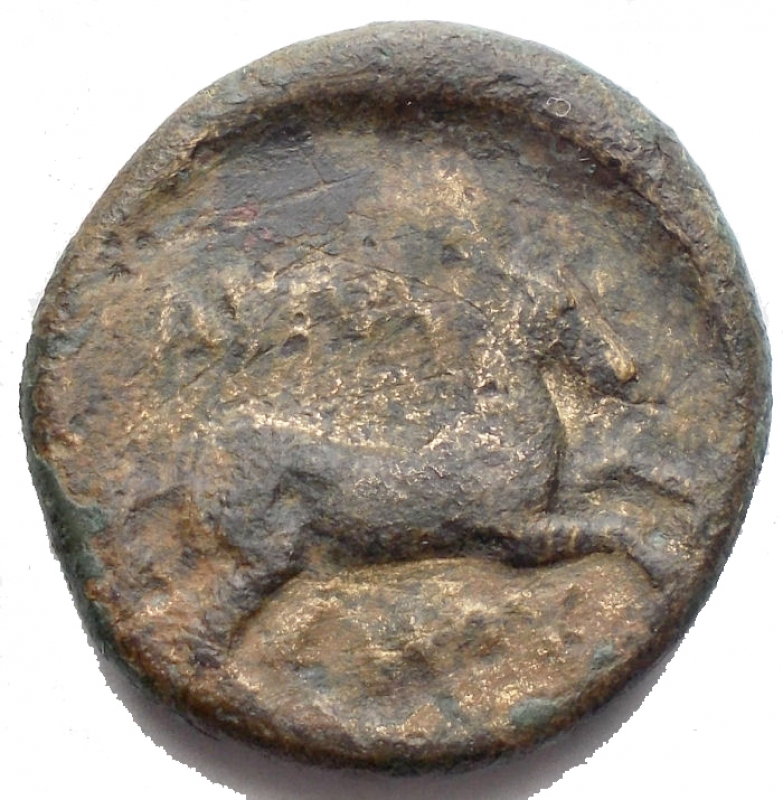 reverse: Apulia, Arpi (Circa 275-250 A.C.) AE 21,3 mm. D/ Toro cozzante a destra; sotto POULLI, magistrato. R/ Cavallo al galoppo a destra. AE. 7,28 gr. SNG ANS 645; HN Italy 645. BB+.  