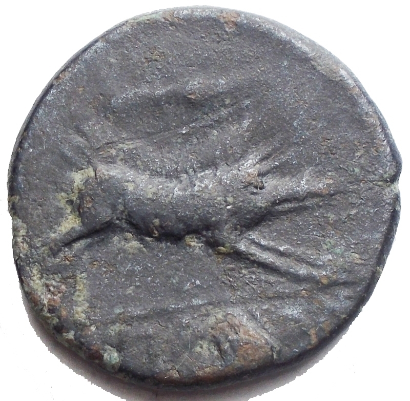 reverse: Mondo Greco - Apulia Arpi (III sec. a.C.) Obolo. D/ Testa di Zeus a sinistra. R/ Cinghiale a destra, sopra punta di freccia, sotto testina ? Gr 6,4. mm 21,58. AE. BB-qSPL/BB+