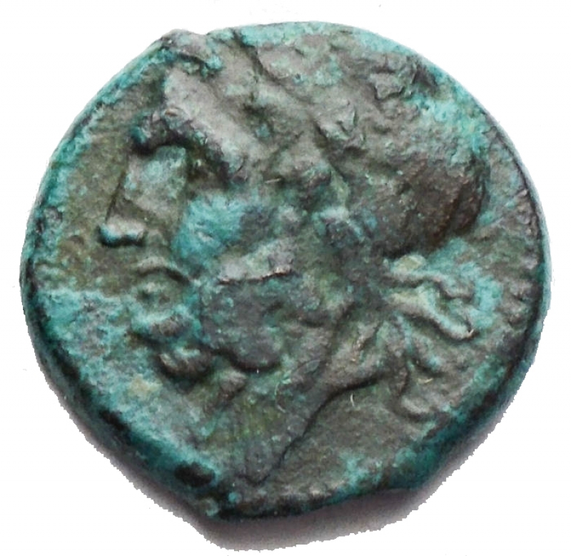 obverse: Apulia Arpi (Circa 325-275 a.C.) AE 16,13 mm. D/ Testa di Zeus a sinistra. R/ Cavallo al galoppo a sinistra. 2,83 gr. BB+/BB