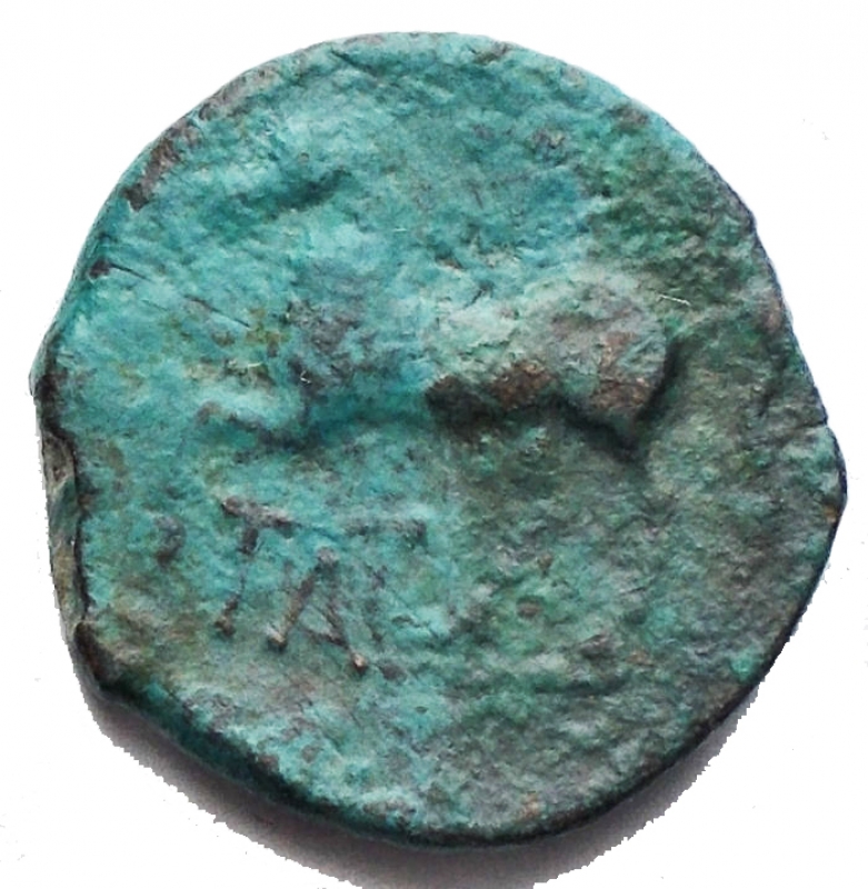 reverse: Apulia Arpi (Circa 325-275 a.C.) AE 16,13 mm. D/ Testa di Zeus a sinistra. R/ Cavallo al galoppo a sinistra. 2,83 gr. BB+/BB