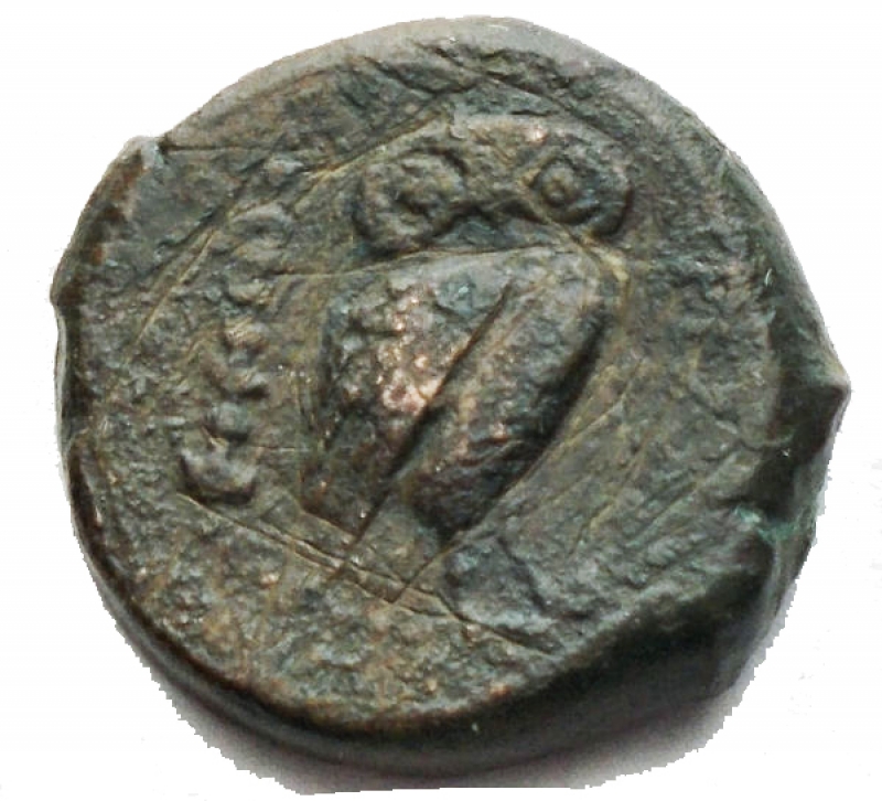 reverse: APULIA, Salapia. Circa 225-210 BC. Æ (13,32 mm. 3,15 gr). Head of Athena right, wearing crested Corinthian helmet; star and ΣAΛ to left / Owl standing right, head facing; club to left. Unpublished in the standard references. aVF, earthen green patina. Apparently unique.