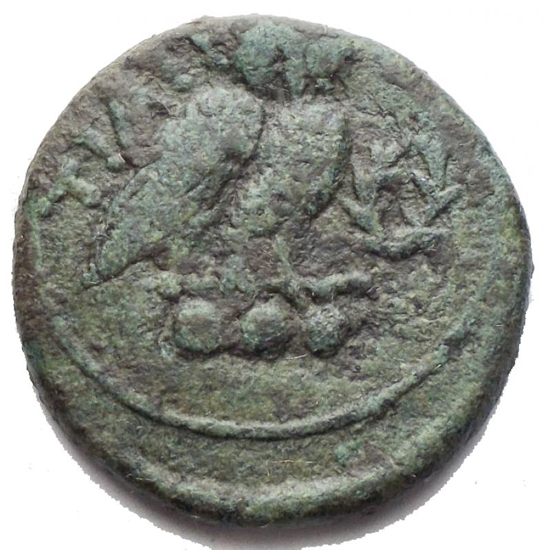 reverse: Greek Italy. Northern Apulia, Teate. AE Teruncius, c. 225-200 BC. D/ Helmeted head of Athena right. R/ TIATI. Owl standing right, head facing, on palm frond; to right, wreath; below, three pellets. HN Italy 702 b. Cf. SNG ANS 747-8 (no wreath to right). HGC 657. AE. g. 10.65 mm. 24.00 Lovely light green patina. Good VF.