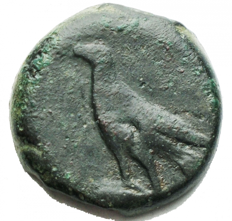 reverse: Bruttium, Bronze,Lokroi Epizephyrioi, c. 317-289 BC, AE, (g 9,67, mm 21,58). Head of Zeus l.. Rv. Eagle standing l.. Rif HNItaly 2352; SNG ANS 532-9. Rare. Green patina. Good example