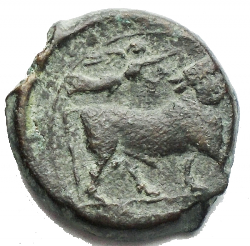 obverse: Campania. Neapolis. (Circa 250-225 A.C). AE Obolo. D/ Testa laureata di Apollo a sinistra. R/ Toro androcefalo a destra; sopra vittoria. g 2,23 mm 14,49 BB  Patina verde