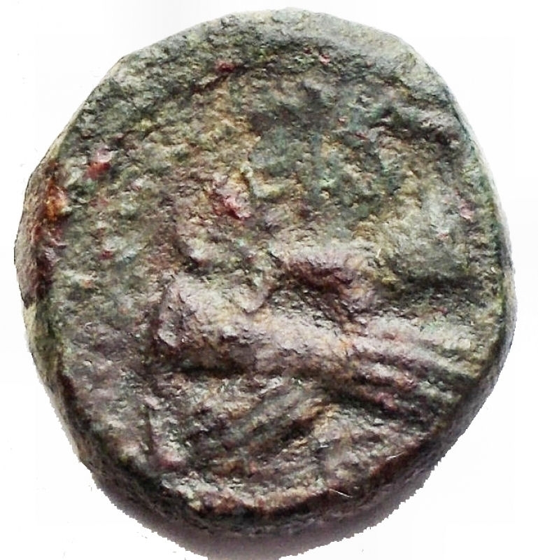 Reverse image