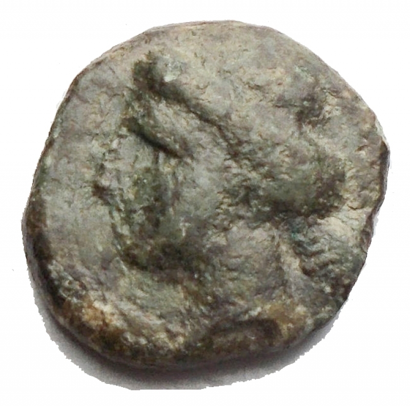 obverse: Mondo Greco - Sicily, Onkia (?), Eryx, c. 330-260 BC; AE (g 2,76; mm 13,1 x 13,7); Female head l., Rv. Horse trotting l. Rif CNS I, n. 19. Rare, green patina, good very fine.