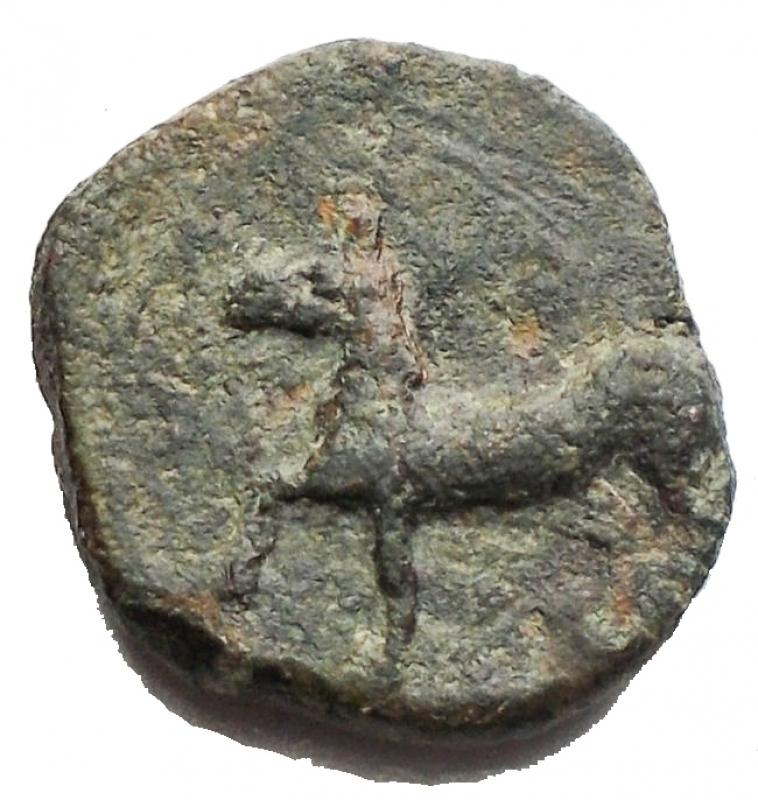 reverse: Mondo Greco - Sicily, Onkia (?), Eryx, c. 330-260 BC; AE (g 2,76; mm 13,1 x 13,7); Female head l., Rv. Horse trotting l. Rif CNS I, n. 19. Rare, green patina, good very fine.