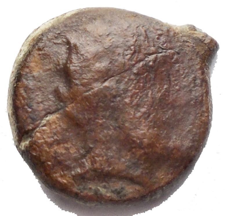 obverse: Mondo Greco - Sicilia. Solus. 4°-3° secolo a.C. Æ g 2,55. d/ Testa barbuta a destra r/ Tonno a destra. qBB/BB+. Patina marrone verde