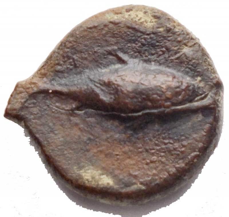 reverse: Mondo Greco - Sicilia. Solus. 4°-3° secolo a.C. Æ g 2,55. d/ Testa barbuta a destra r/ Tonno a destra. qBB/BB+. Patina marrone verde