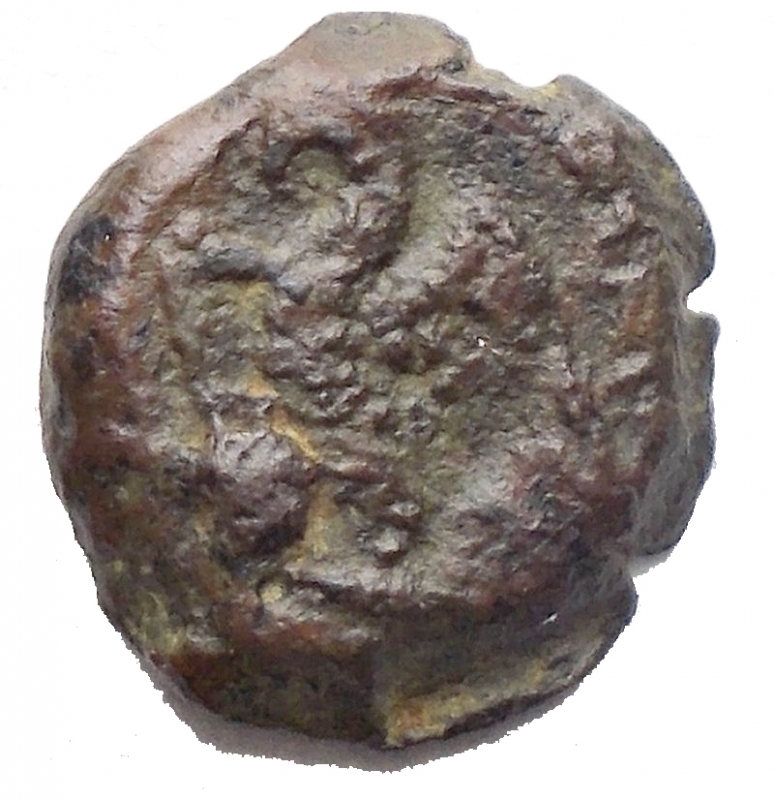 reverse: Cleopatra III° e Tolomeo X° 106-101 aC. Chalkous Ae. gr 1,42. R