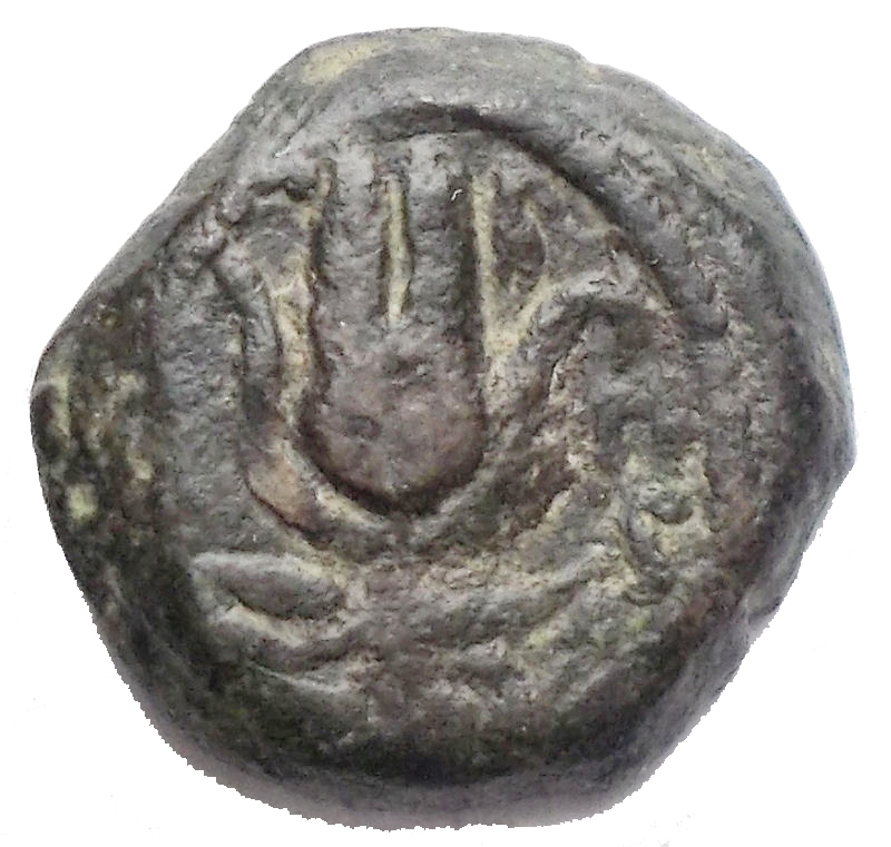 reverse: PTOLEMAIC KINGS of EGYPT. Ptolemy Apion. King of Kyrenaika, c. 104/1–96 BC. Æ Chalkous (9,15 mm; 2,48 g). Kyrene mint. Diademed head of Zeus-Ammon right / Headdress of Isis. Svoronos 1845 (Ptolemy XIII–Alexandreia); Weiser –; SNG Copenhagen 685-90 (Uncertain mint in Cyprus); Noeske 392-4 (Indeterminate mint in Cyprus or Alexandria); Asolati 113. VF, brown green patina. Rare.