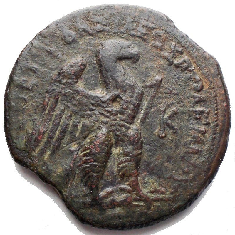 reverse: PTOLEMAIC KINGS of EGYPT. Ptolemy VIII Euergetes II (Physcon). 145-116 BC. Æ Trihemiobol (33.8mm, 22.96 g). Kyrene mint. Diademed head of Zeus-Ammon right / Eagle with open wings standing right on thunderbolt; K before. Svoronos 1649 (Alexandreia); Weiser 166 (Alexandreia); SNG Copenhagen 654 (Uncertain mint in Cyprus); Noeske 284-5 (Indeterminate mint in Cyprus); Asolati 92. ,  green brown patina, good VF/VF