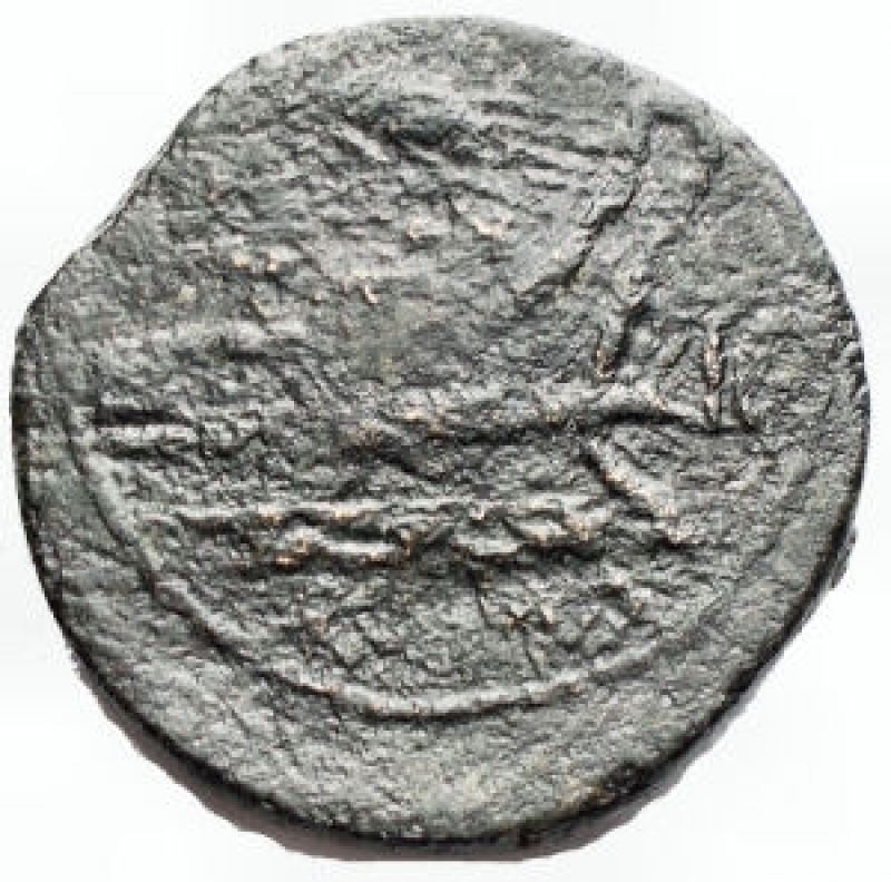 Reverse image