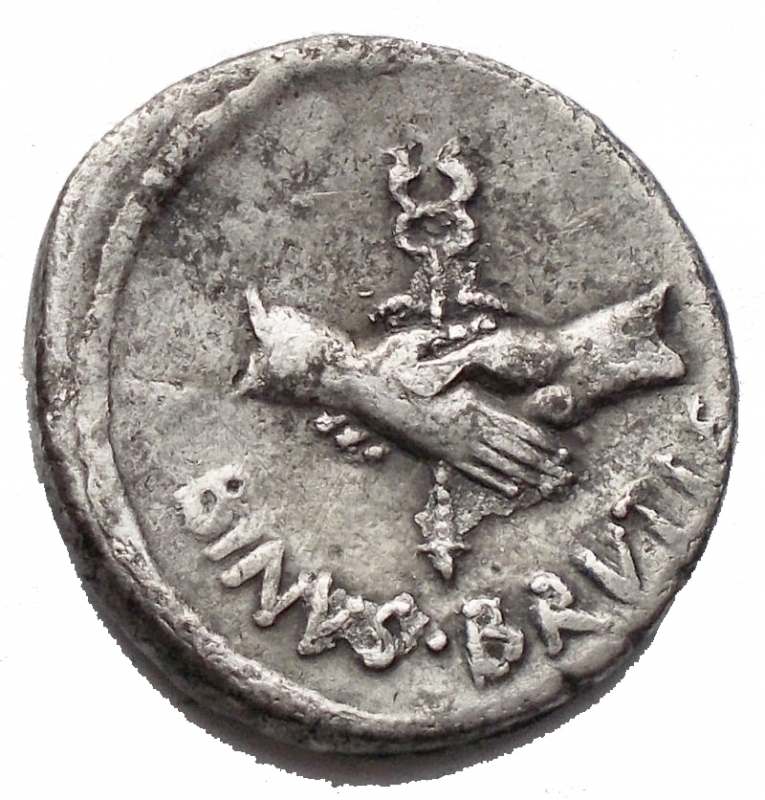 Reverse image