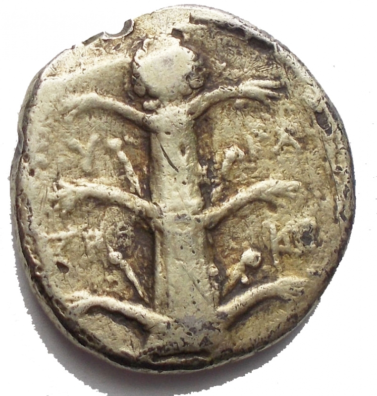 reverse: Ancient Greece CYRENAICA. Cyrene. Didrachm 308-277 BC Fourre, with gilding ??? A / Head of Apollo Carneios on the left. R / Silphium plant with symbols, monograms and KY-PA. 7.11 g. 12.35 x 13.85 mm