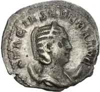 lot 763