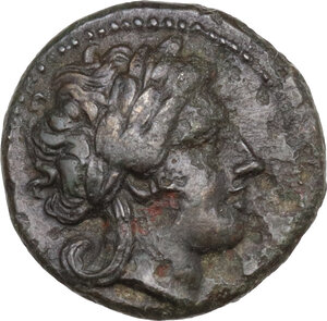 obverse: Central and Southern Campania, Neapolis. AE 14 mm, 325-320 BC