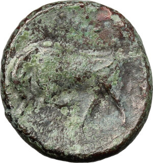reverse: Syracuse.  Agathokles (317-289 BC).. AE 16mm