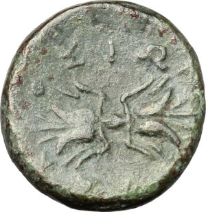 reverse: Syracuse.  Agathokles (317-289 BC).. AE 13mm