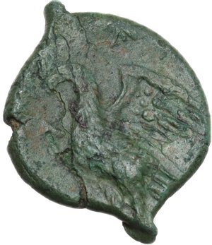 reverse: Syracuse.  Hiketas II (287-278 BC).. AE Litra, c. 283-279 BC