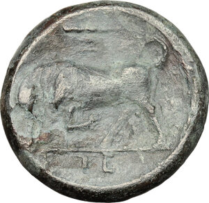 reverse: Syracuse.  Hieron II (274-216 BC).. AE 19mm