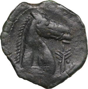 reverse: AE 21 mm. c. 300-264 BC. Uncertain mint