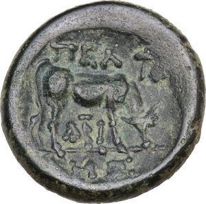 reverse: Macedon, Pella. AE 20 mm, 187-31 BC