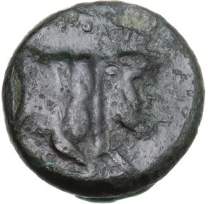 reverse: Central and Southern Campania, Neapolis. AE 13.5 mm, c. 300-275 BC