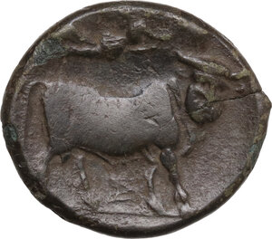 reverse: Central and Southern Campania, Neapolis. AE 20 mm, 275-250 BC
