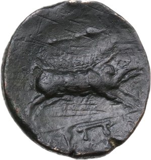 reverse: Northern Apulia, Arpi. AE 21 mm, c. 325-275 BC