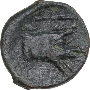 reverse: Northern Apulia, Arpi. AE 14 mm, 325-275 BC