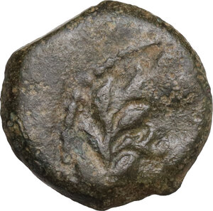 obverse: Judaea.  Pontius Pilatus (26-36 AD).. AE Prutah in the name of Tiberius, Jerusalem mint