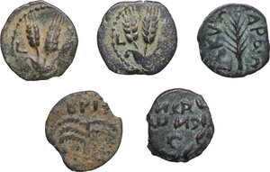 reverse: Judaea. Lot of five (5) prutah coins, I cent. AD