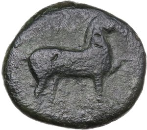 obverse: Northern Apulia, Salapia. AE 18 mm, c. 275-250 BC