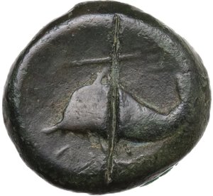 reverse: Northern Apulia, Salapia. AE 18 mm, c. 275-250 BC