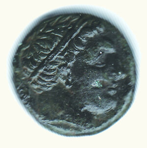 obverse: SIRACUSA - Agatocle (317-289 a.C.) - Litra.