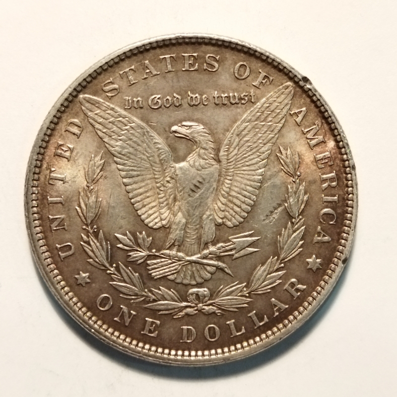 reverse: Stati uniti d America. One Dollar 1896. AG. BB/SPL. NC.
