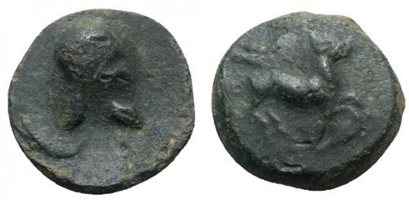 obverse: Sicilia, Entella (345-338 a.C.). Æ (17mm, 5.25g, 3h). D.\: Elmo Campano; R.\: cavallo al galoppo a dx. Campana 12; CNS I, 14; SNG ANS -; HGC 2, 254. MB. R2. Note: Ottima patina verde scuro. 