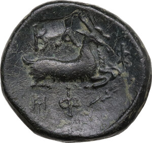reverse: Kings of Macedon.  Philip V (221-179 BC). AE 20 mm, 200-179 BC