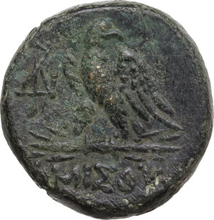 reverse: Pontos, Amisos. AE 20 mm, c. 100-85 BC