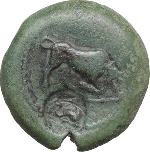 obverse: Mysia, Kyzikos. AE 24.5 mm, c. 2nd-1st century BC