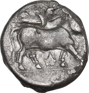 reverse: Central and Southern Campania, Neapolis. AR Didrachm, c. 326-317/10 BC