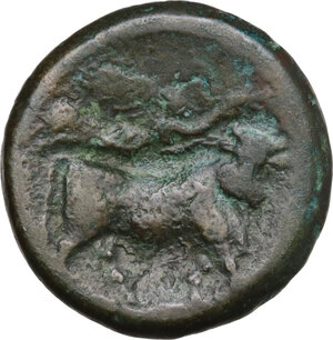 reverse: Central and Southern Campania, Neapolis. AE Obol, c. 275-250 BC