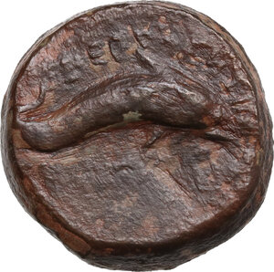reverse: Northern Apulia, Salapia. AE 20 mm, c. 275-250 BC