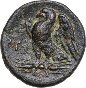 reverse: Southern Apulia, Rubi. AE 19 mm. c. 300-225 BC