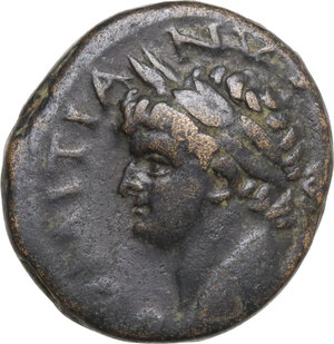 obverse: Domitian (81-96 AD). AE Semis, Antioch mint (Seleucis and Pieria)